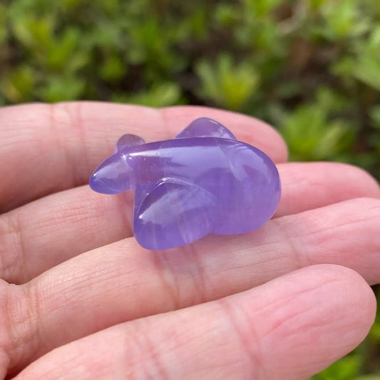 Natural Fluorite Animal Carving – New Arrival Special ⚡