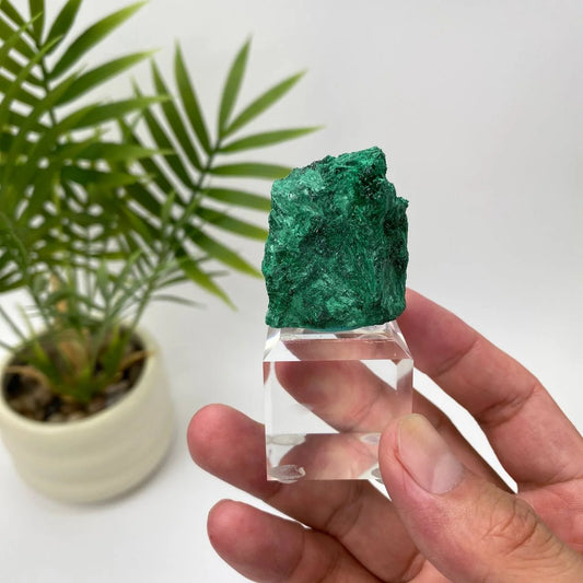 Natural Malachite Fibrous Mineral Specimen with Stand