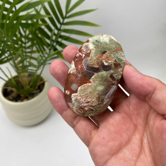 Natural Money Agate Palm Stone