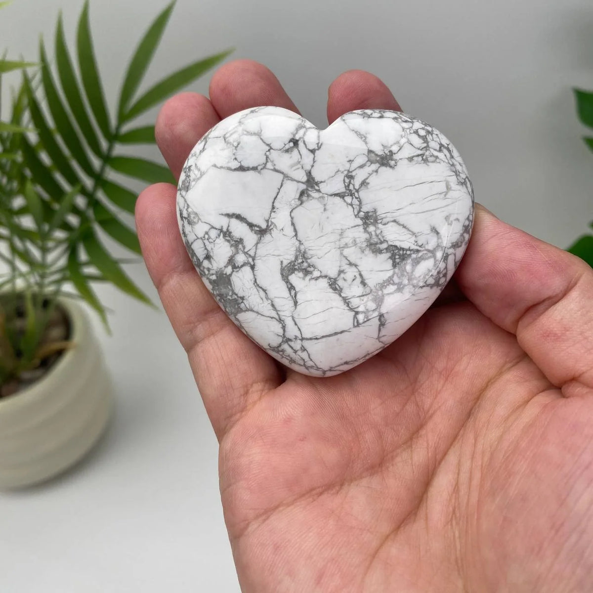 Natural Howlite Heart