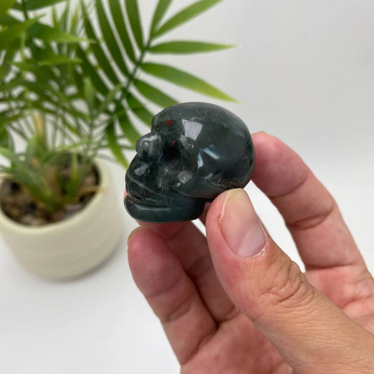 Natural African Bloodstone Skull Carving