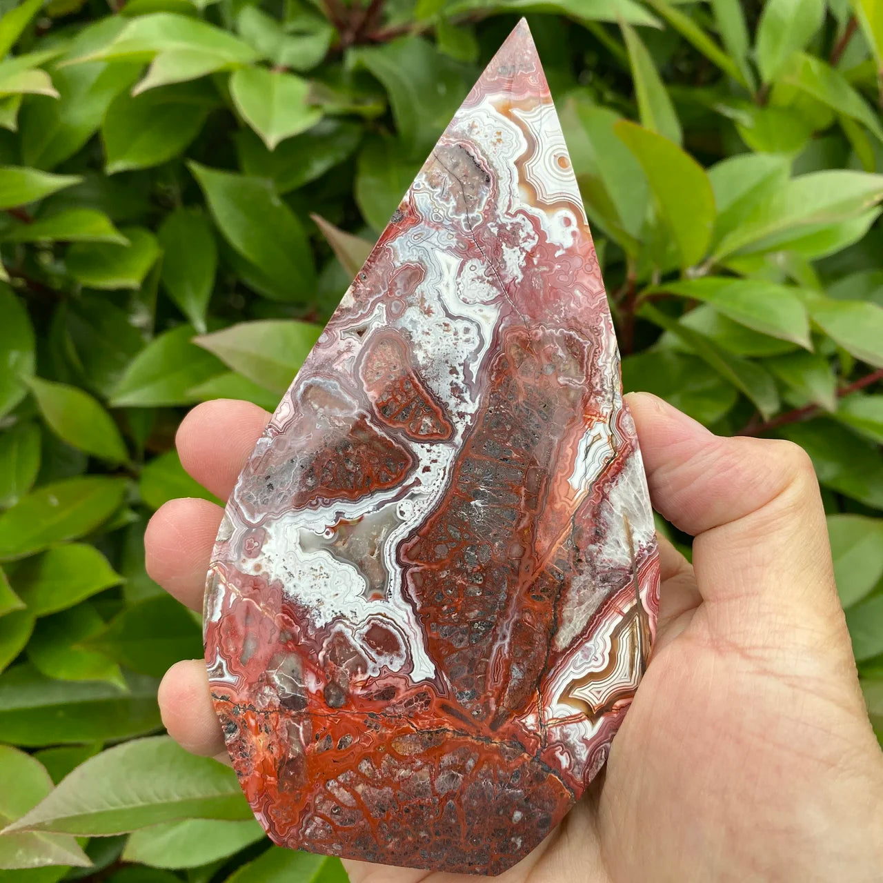  - Image 5