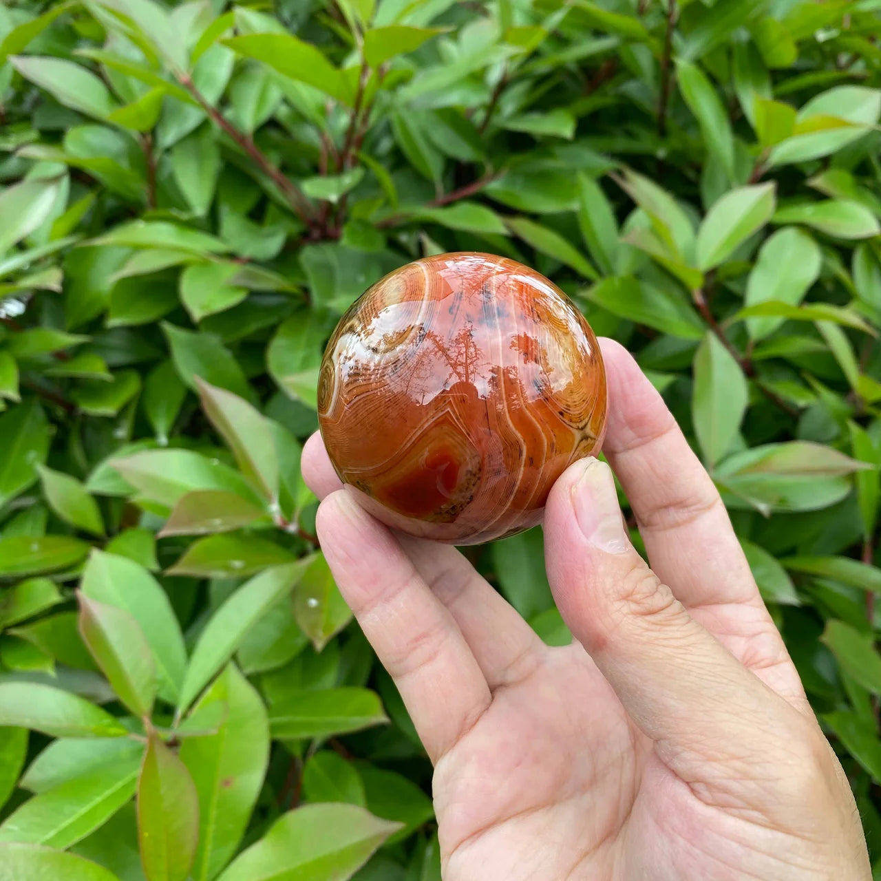 Natural Sardonyx Agate Crystal Sphere