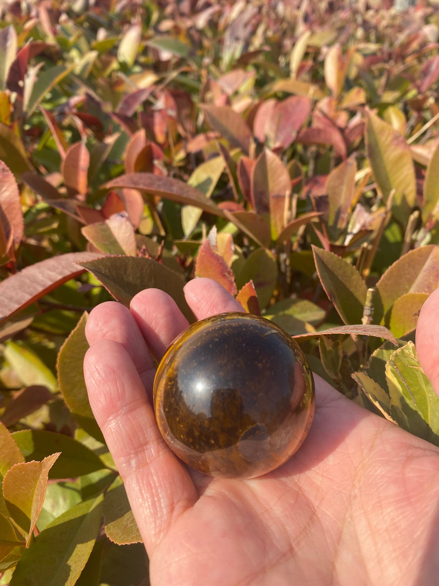 Tiger Eye Sphere – Protection, Confidence & Grounding Crystal Ball