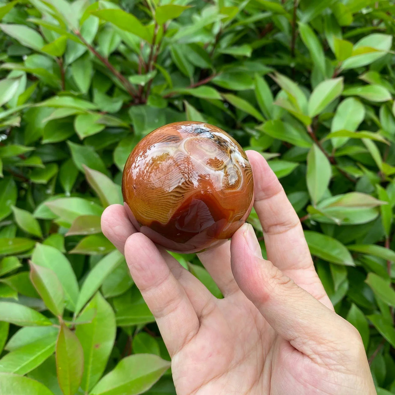 Natural Sardonyx Agate Crystal Sphere