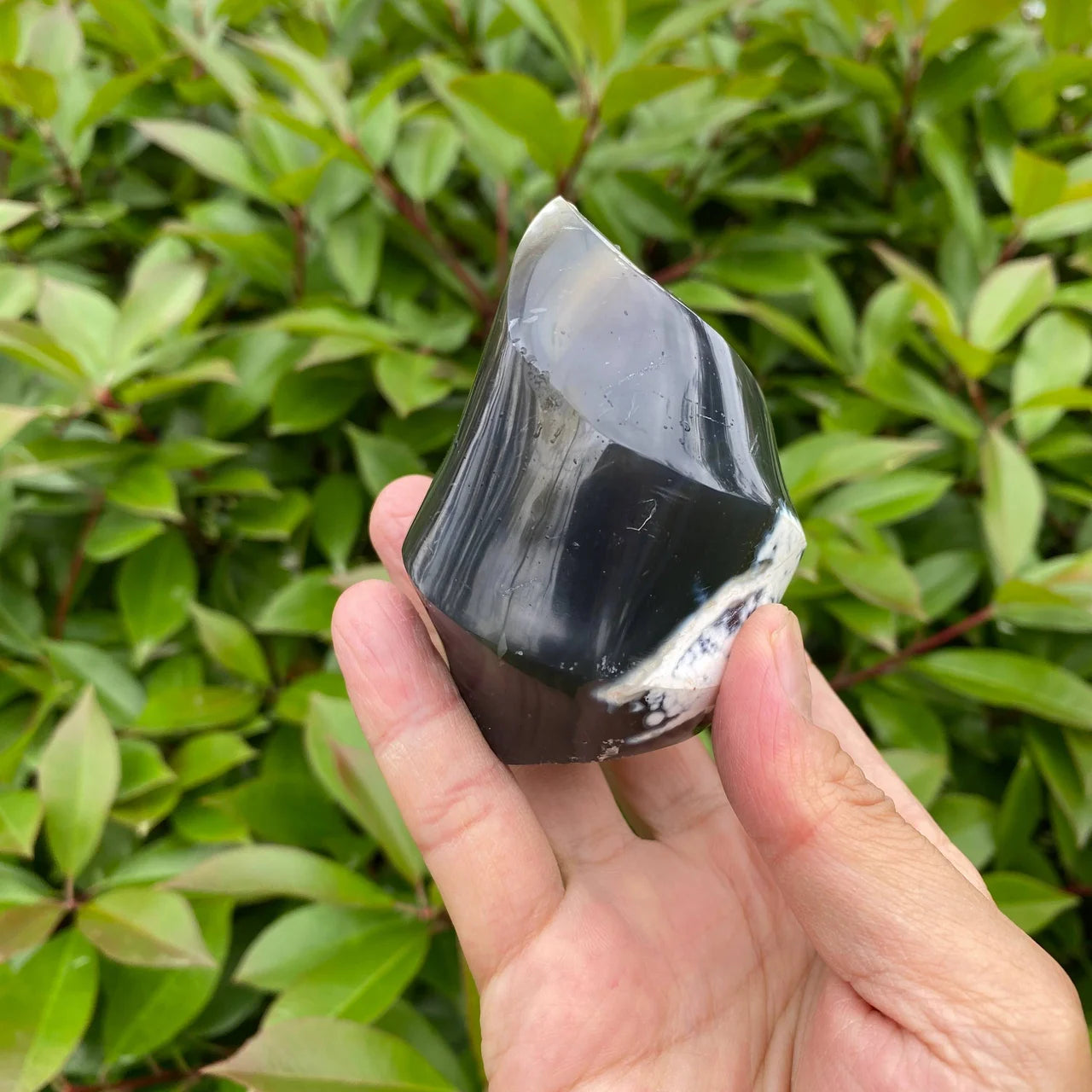 Natural Orca Agate Flame Carving