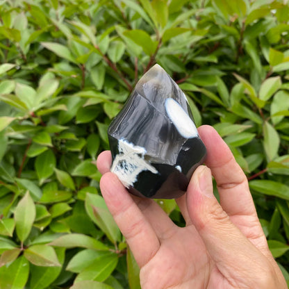 Natural Orca Agate Flame Carving