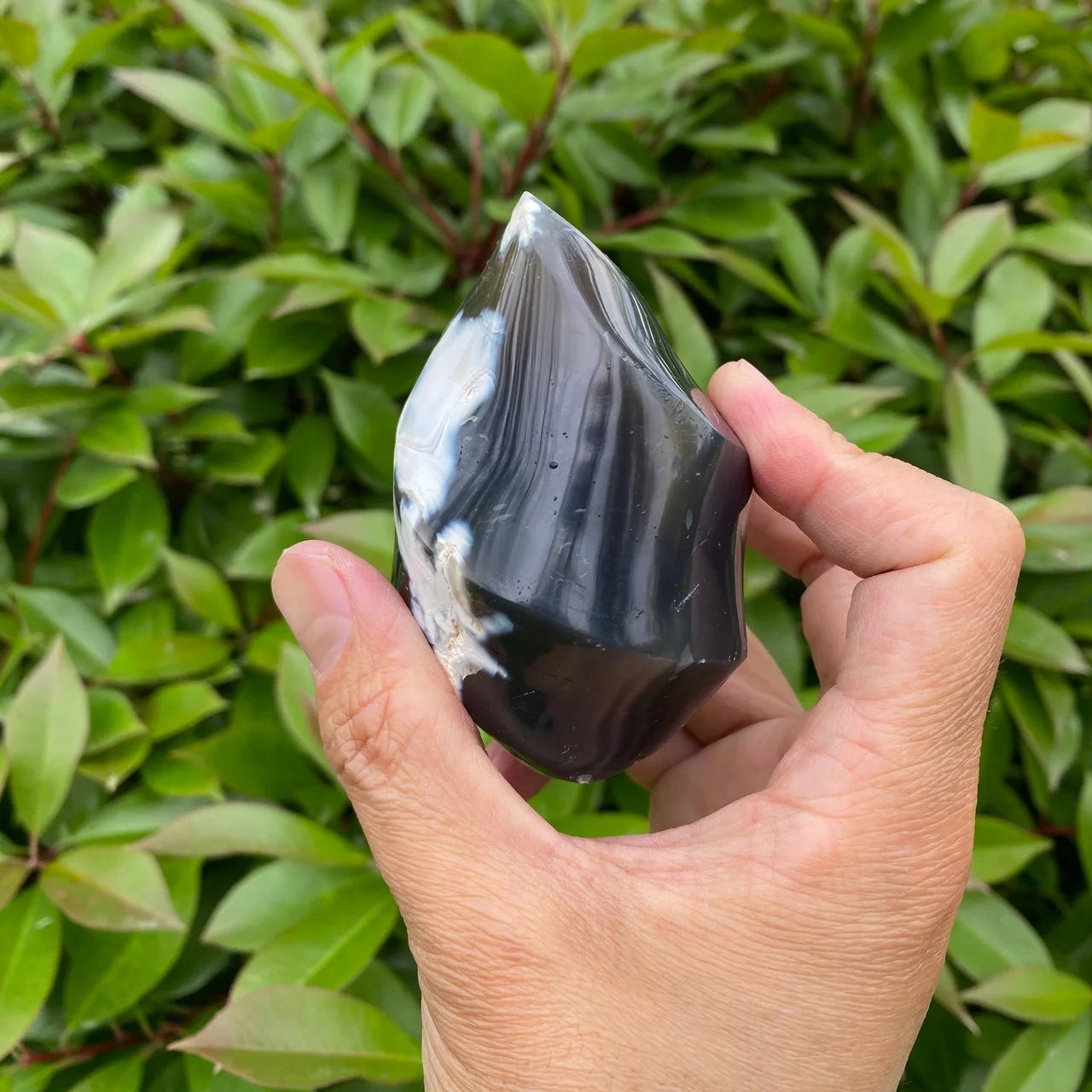 Natural Orca Agate Flame Carving
