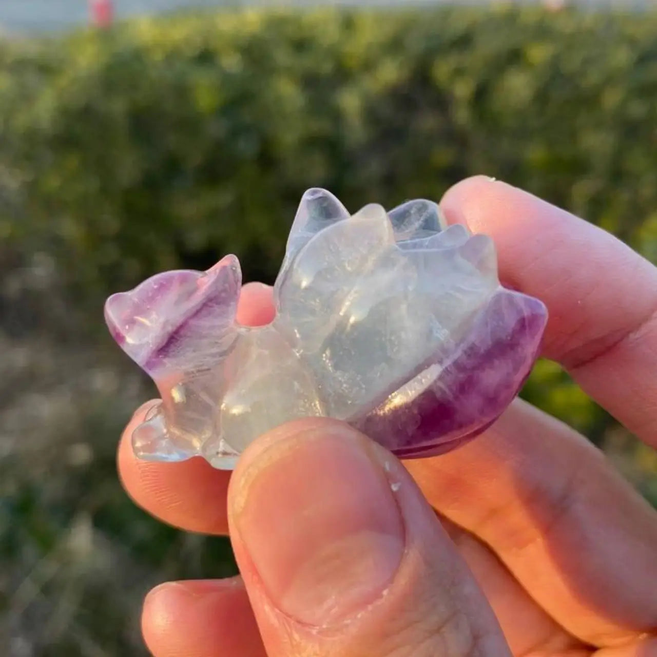 Natural Fluorite Animal Carving – New Arrival Special ⚡