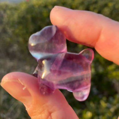 Natural Fluorite Animal Carving – New Arrival Special ⚡