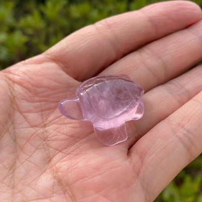 Natural Fluorite Animal Carving – New Arrival Special ⚡