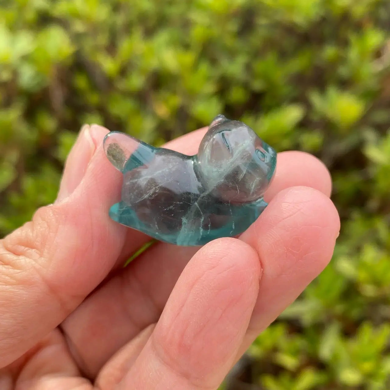 Natural Fluorite Animal Carving – New Arrival Special ⚡