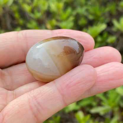 Natural Mexican Eye Agate Egg