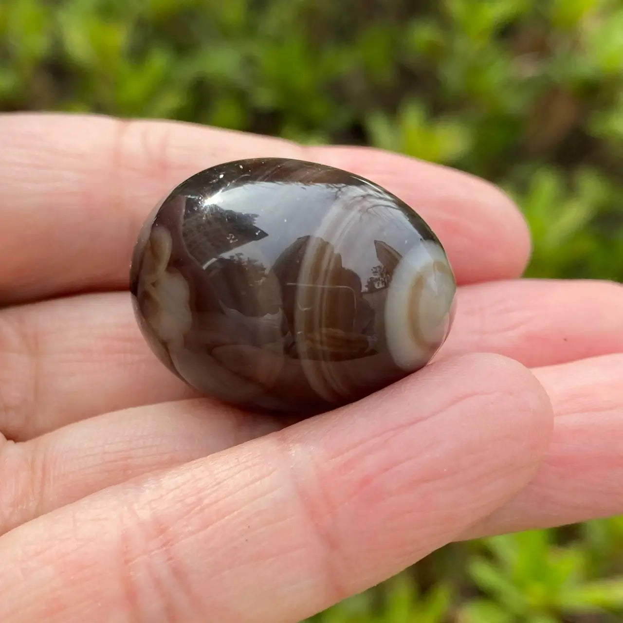 Natural Mexican Eye Agate Egg