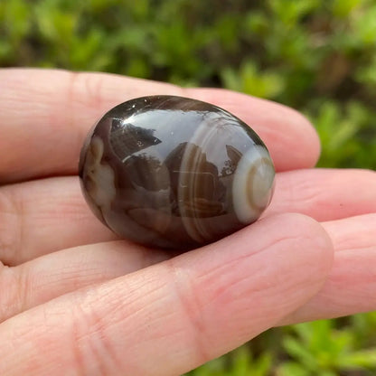Natural Mexican Eye Agate Egg