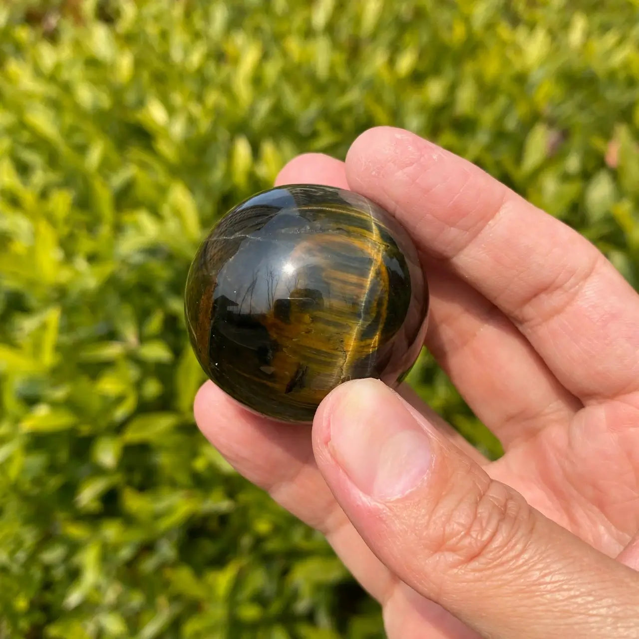Natural Blue-Yellow Tiger's Eye Sphere Carving
