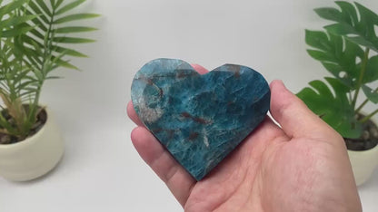 Natural Blue Apatite Heart with Stand