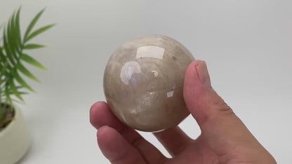 Natural Moonstone Adularescent Sphere