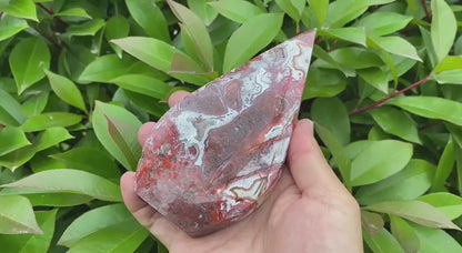 Natural Mexican Agate Teardrop Carving