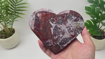 Natural Mexican Crazy Lace Agate Heart with Stand