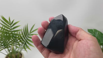 Natural Obsidian Mirror-Surface Freeform