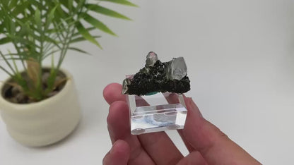 Natural Epidote in Quartz Seated Mineral Specimen with Stand