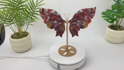 Natural Crazy Lace Agate Butterfly with Stand
