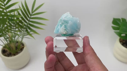 Natural Hemimorphite Crystal Specimen with Jagged Blue Formation with Stand