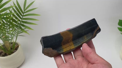Natural Yellow-Blue Tiger Eye Slice – Black and Gold Striped Slice with Stand