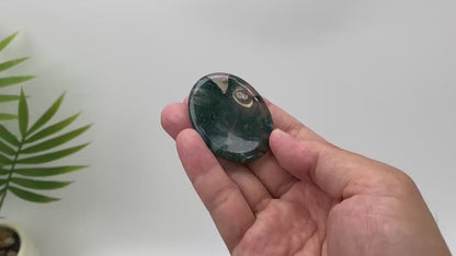 Natural Fern-Like Dendritic Moss Agate Worry Stone