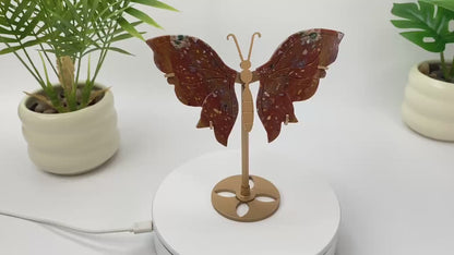 Natural Ocean Jasper Speckled-Wing Butterfly with Stand
