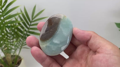 Natural Caribbean Calcite Palm Stone