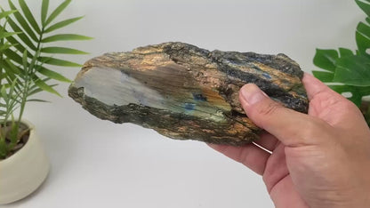 Natural Labradorite Slice – Copper Bronze and Blue Flash Rough Slice with Stand