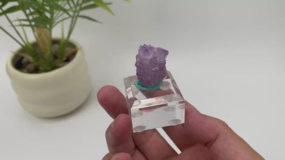 Natural Cactus Amethyst Teal-Base Specimen with Stand