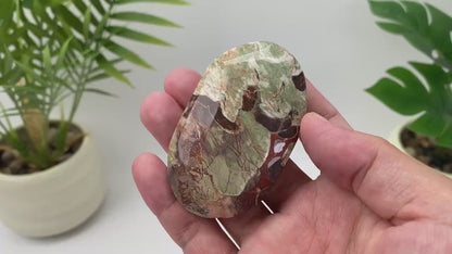 Natural Money Agate Palm Stone