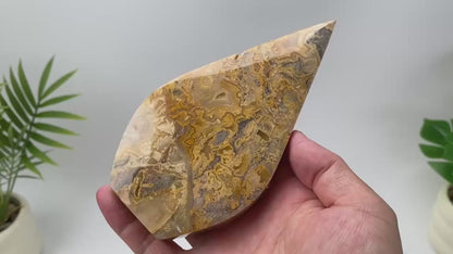 Natural Mexican Crazy Lace Agate Teardrop – Golden-Yellow