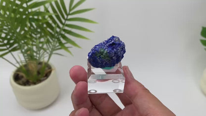 Natural Azurite Royal Blue & Emerald Green Mineral Specimen with Stand