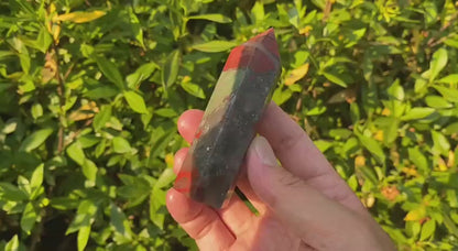 Natural African Bloodstone Tower Carving