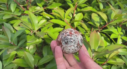 Natural Money Agate Crystal Sphere