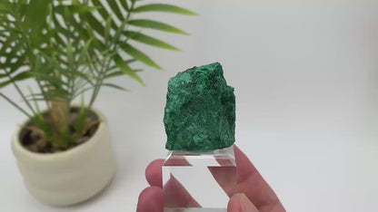Natural Malachite Fibrous Mineral Specimen with Stand
