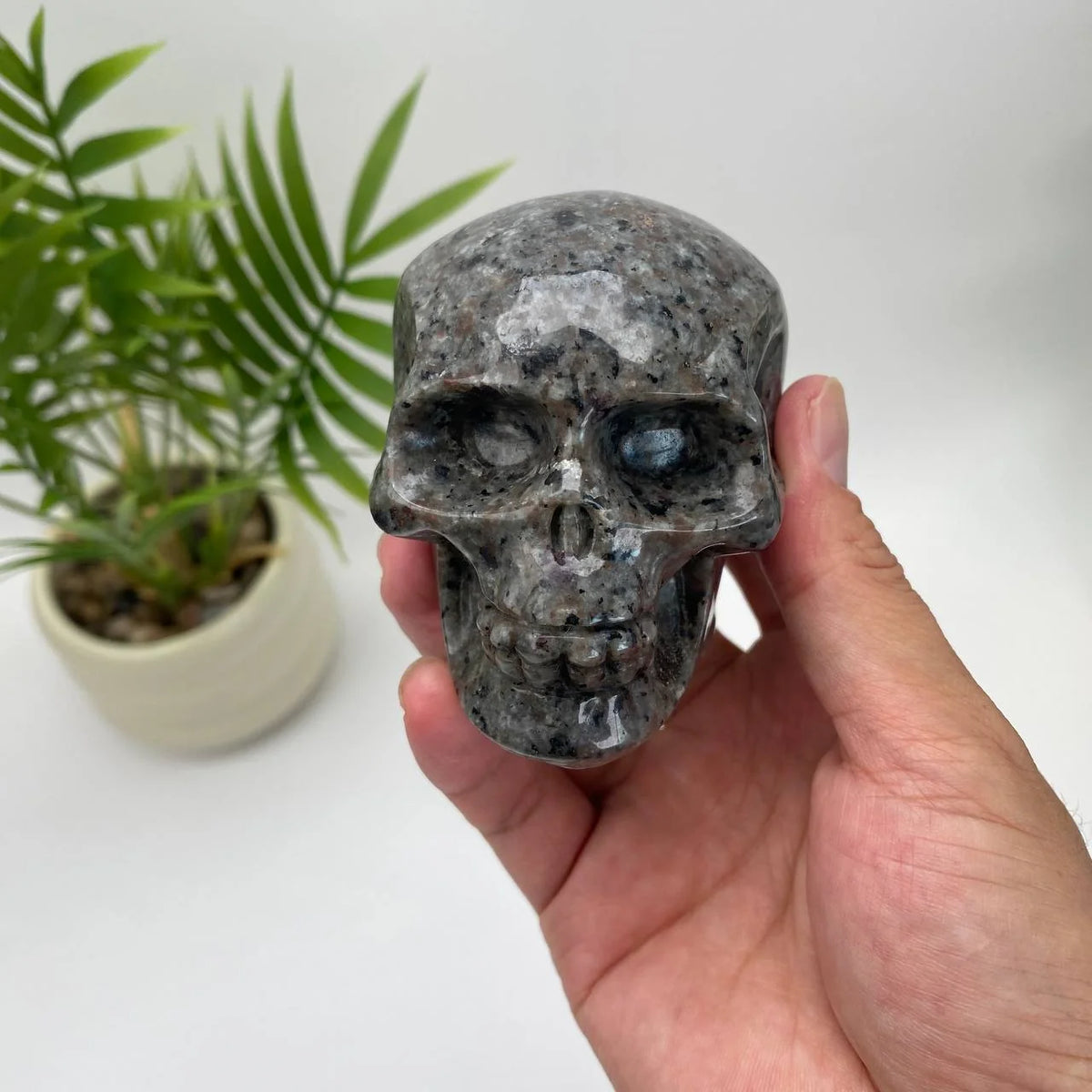 Natural Yooperlite Skull Carving