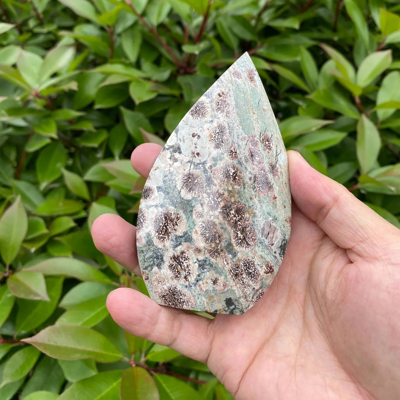 Natural Blue Fireworks Agate Teardrop Carving