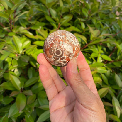 Natural Money Agate Crystal Sphere