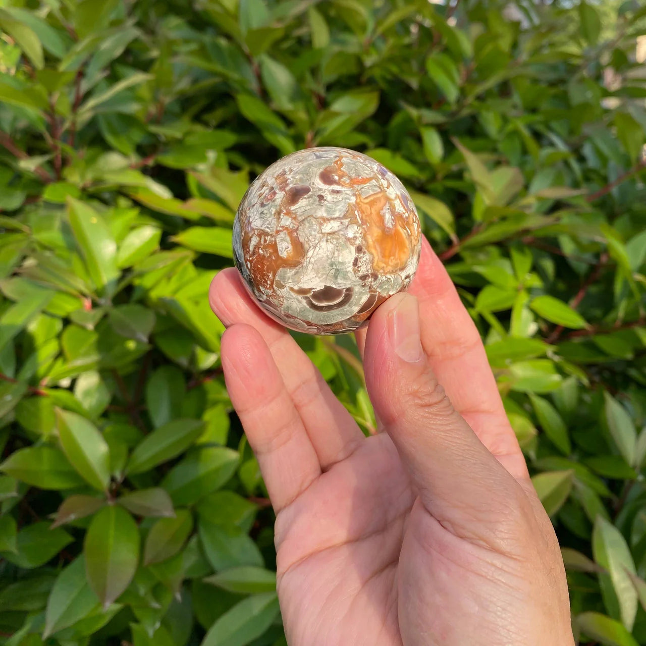 Natural Money Agate Crystal Sphere