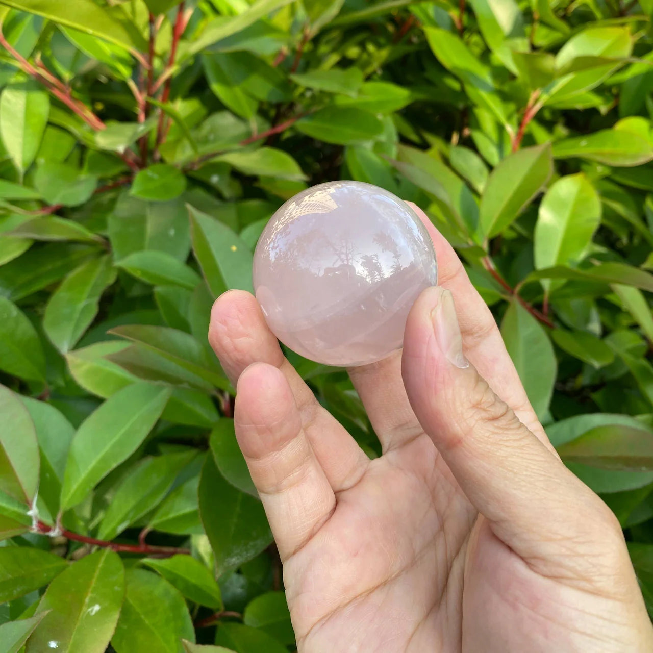 Natural Rose Quartz Sphere