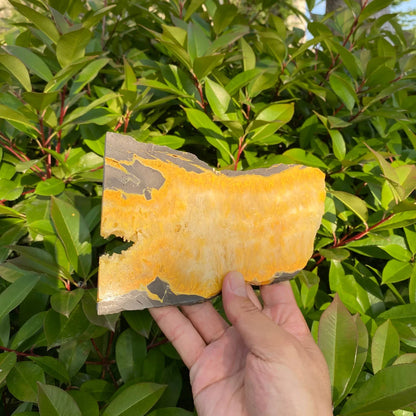 Natural Bumblebee Jasper Slice