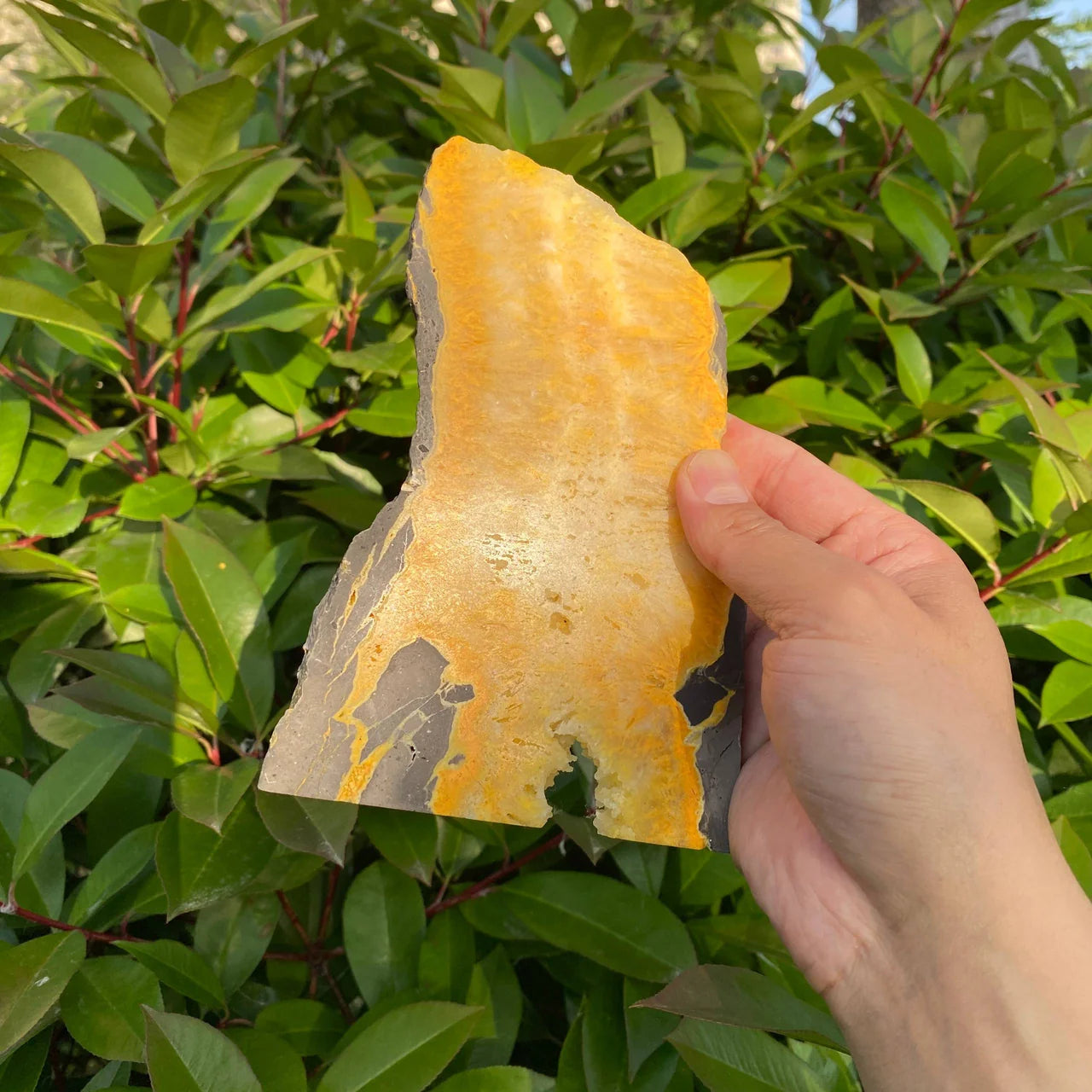 Natural Bumblebee Jasper Slice
