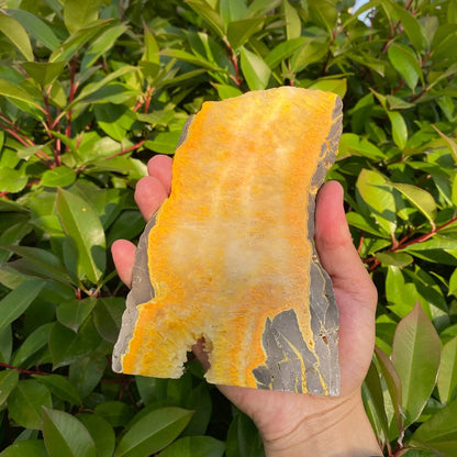 Natural Bumblebee Jasper Slice
