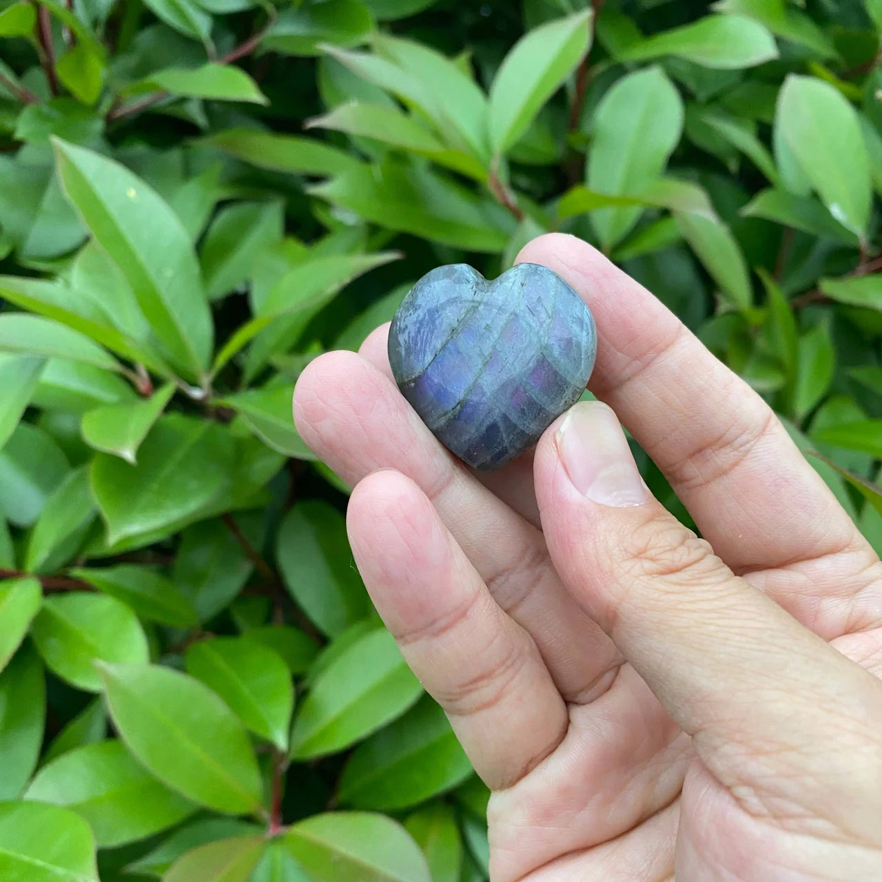 Natural Purple Labradorite Heart