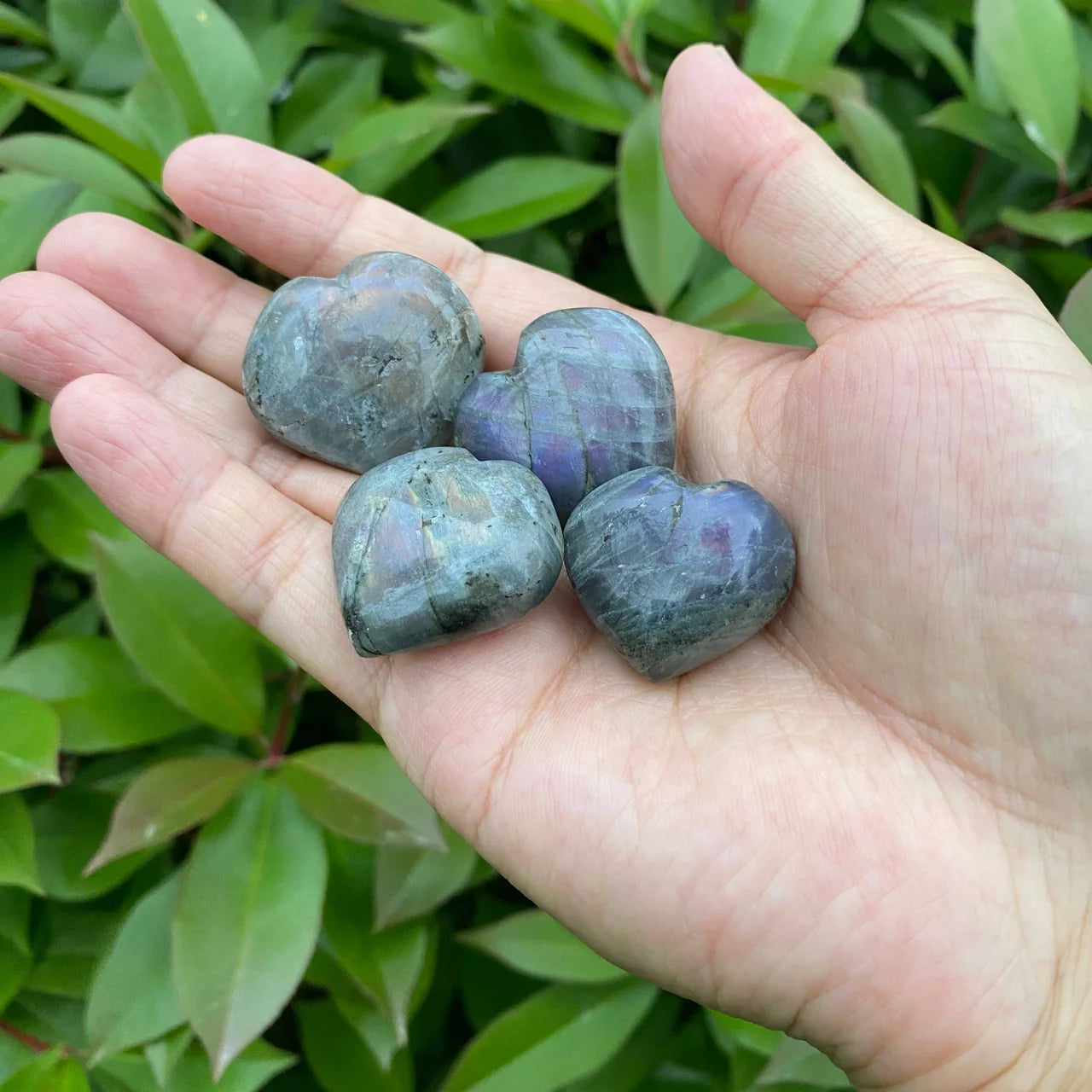 Natural Purple Labradorite Heart